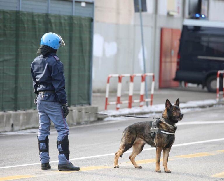 14 Jobs that Require Hazmat Suits CheddarDen