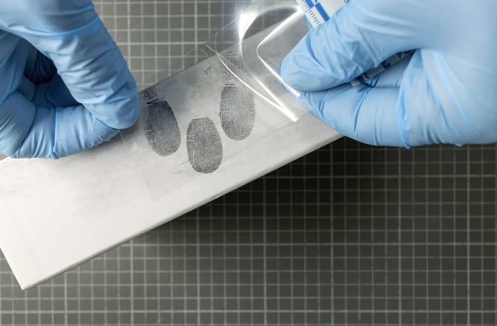 Fingerprint technician with gloves using fingerprint instant lifters.