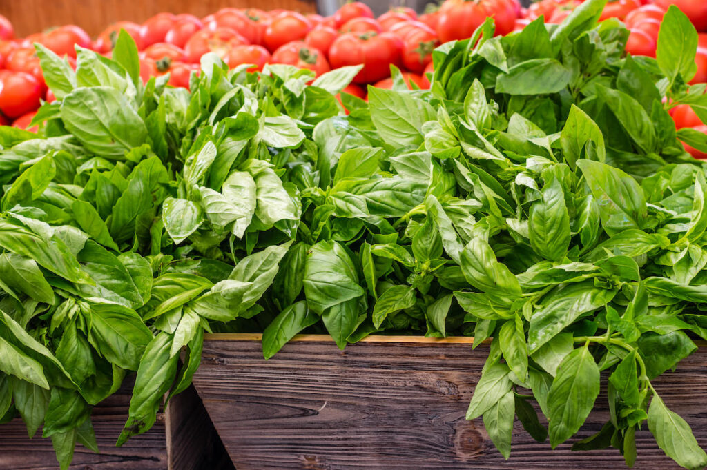 Basil sold at farmers market