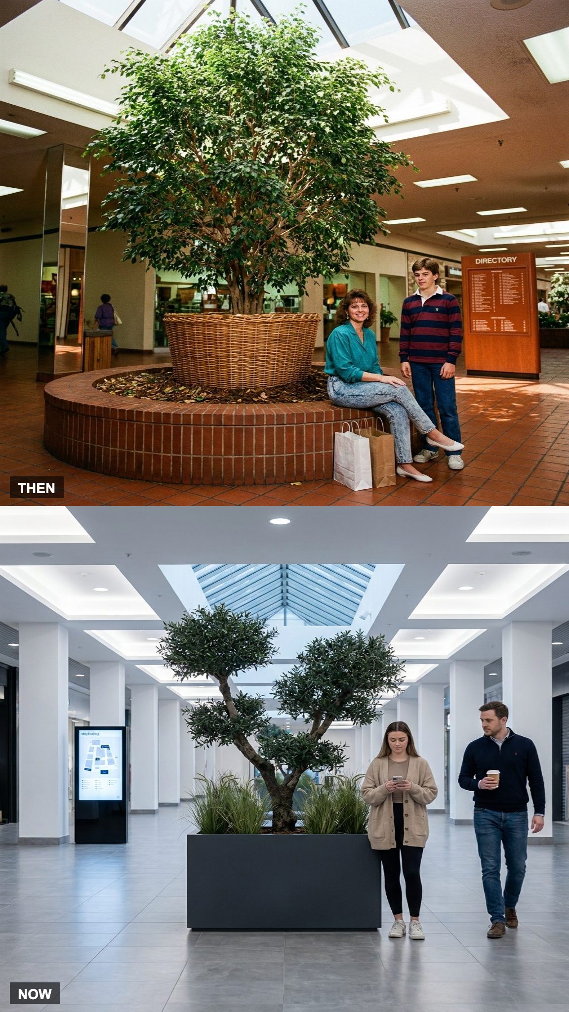 Indoor Trees and Planters