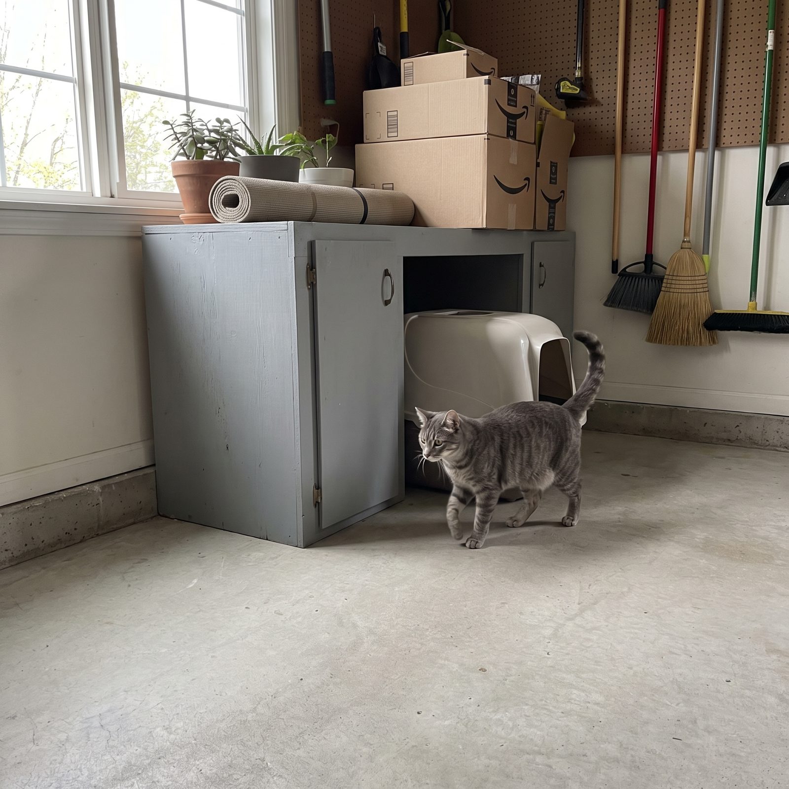 The Garage Litter Area vs. the Litter Box in the Bathroom