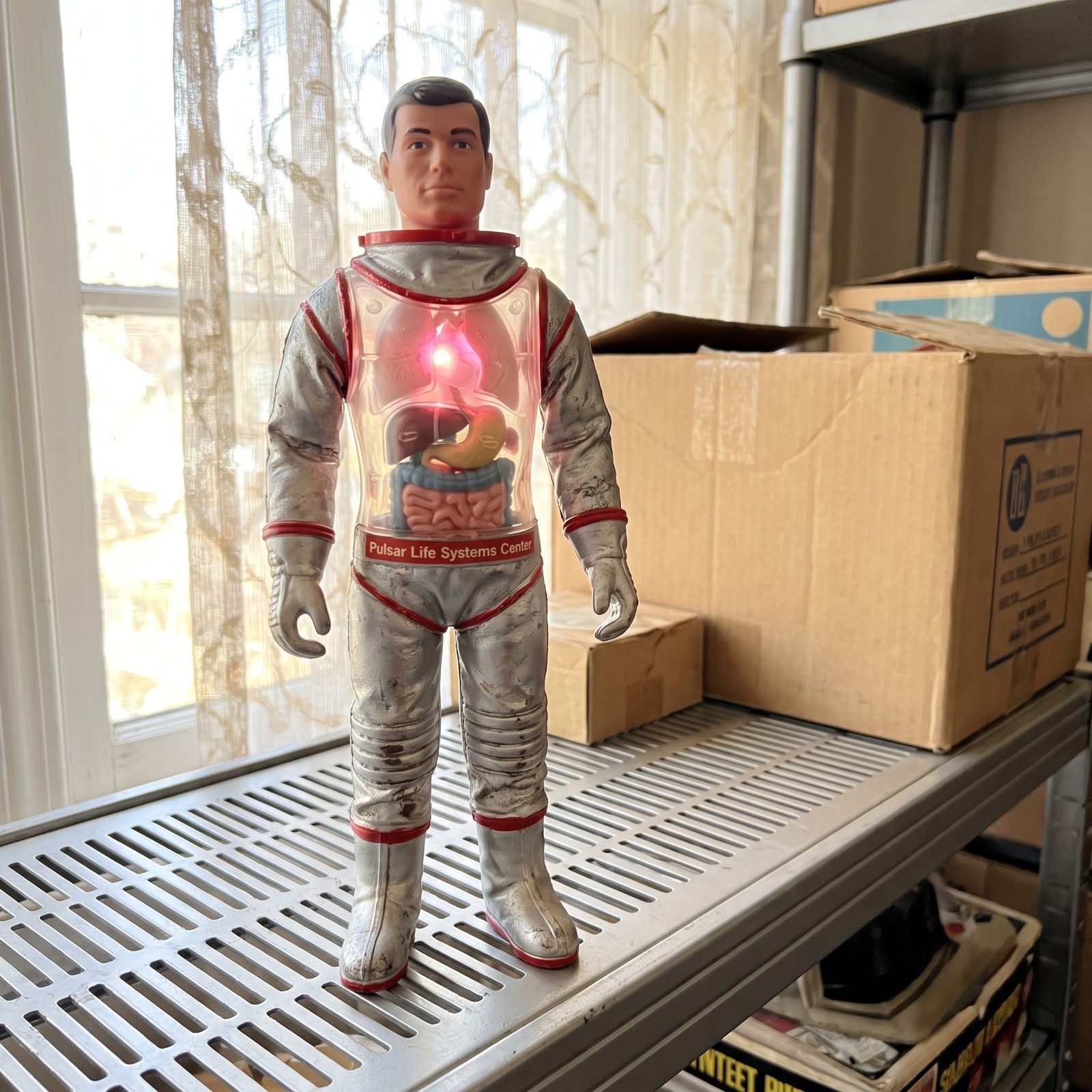 Pulsar Life Systems Center: Around $10 to $13