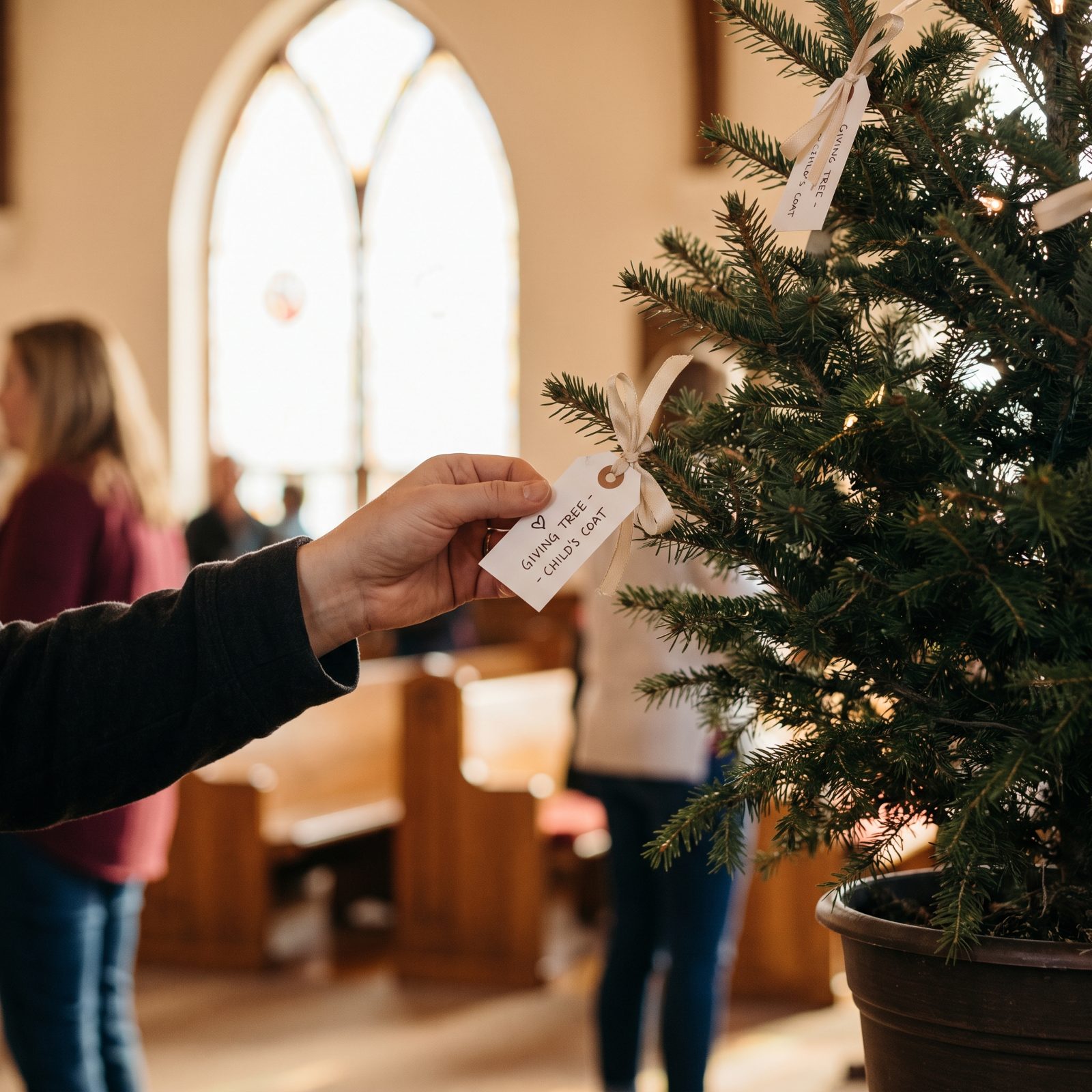 Charitable Donations and Giving-Tree Commitments