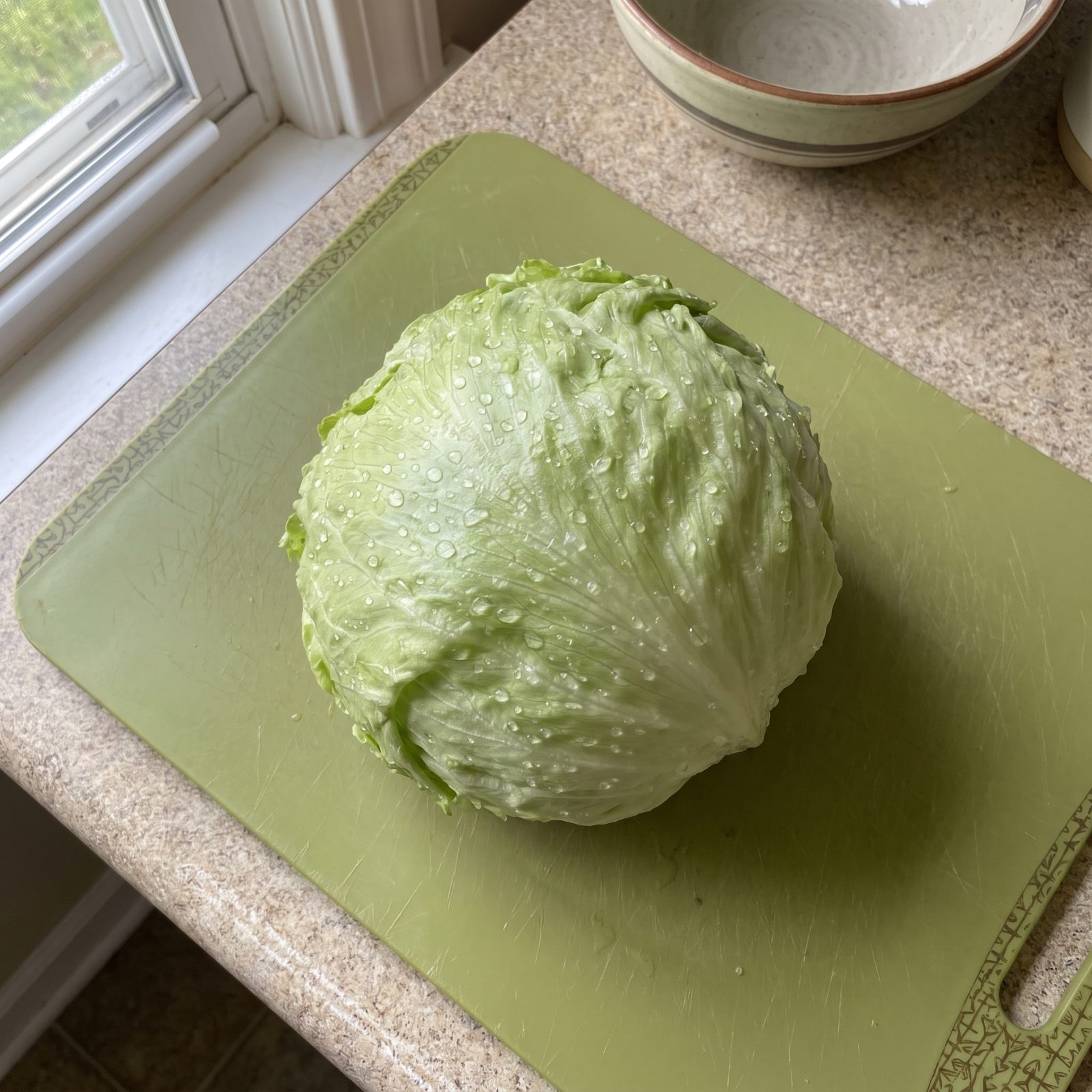 A Head of Lettuce for About 25 Cents in 1972